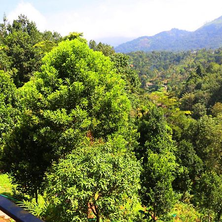 Green Magic Riverside Resort Munnar Exterior foto