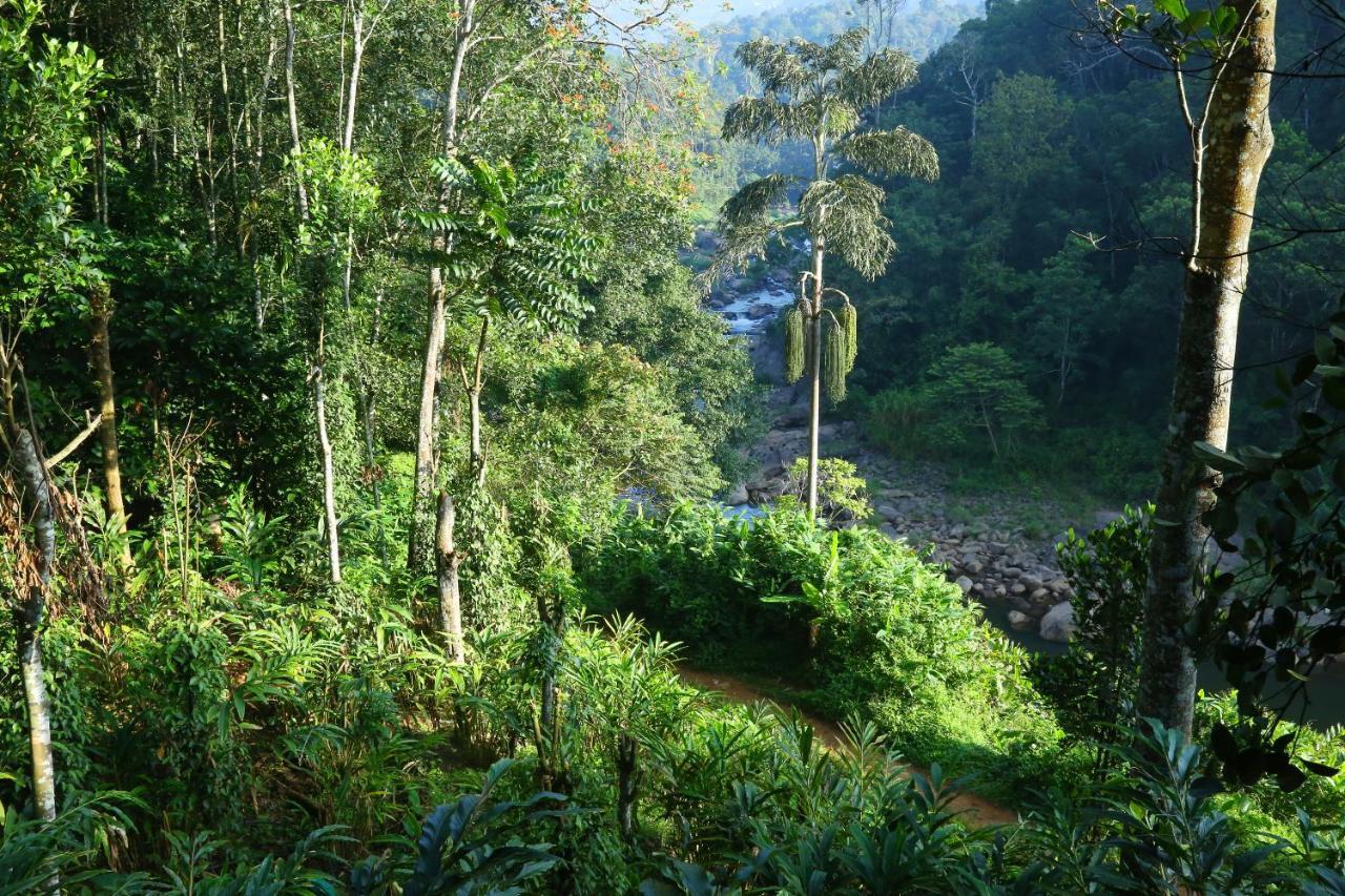 Green Magic Riverside Resort Munnar Exterior foto