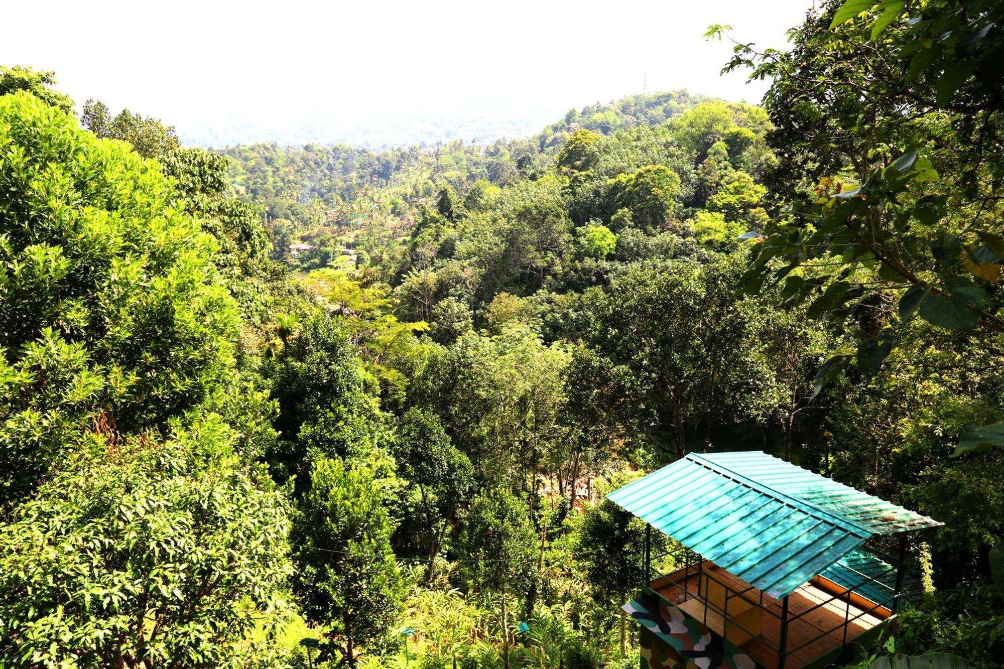 Green Magic Riverside Resort Munnar Exterior foto